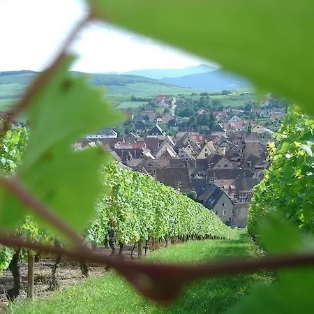 Flat In A 17th-century Alsatian House, Cleaning Included Apartman Riquewihr