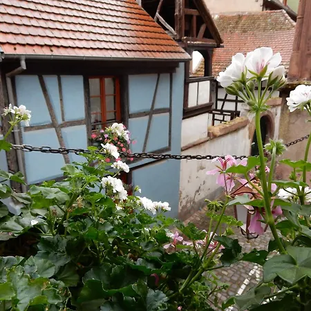 In Near Vineyards, Cleaning Included Riquewihr